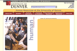 Screenshot of the shell provided to DU